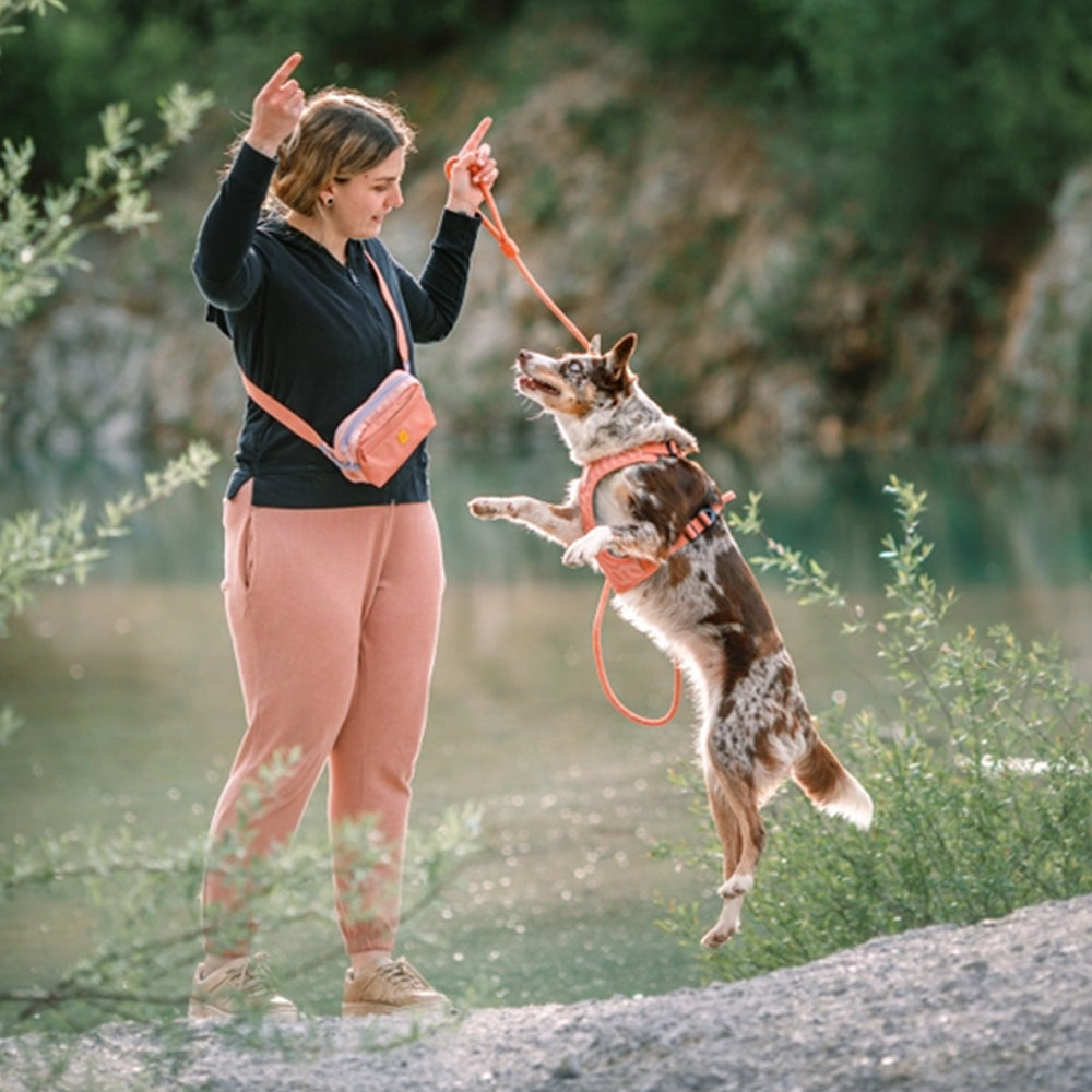 Hundebesitzerin trägt die Alpha 360 Hip Pack in Lachsrosa während eines aktiven Spaziergangs mit ihrem Hund, perfekt für Leckerlis und Kotbeutel.