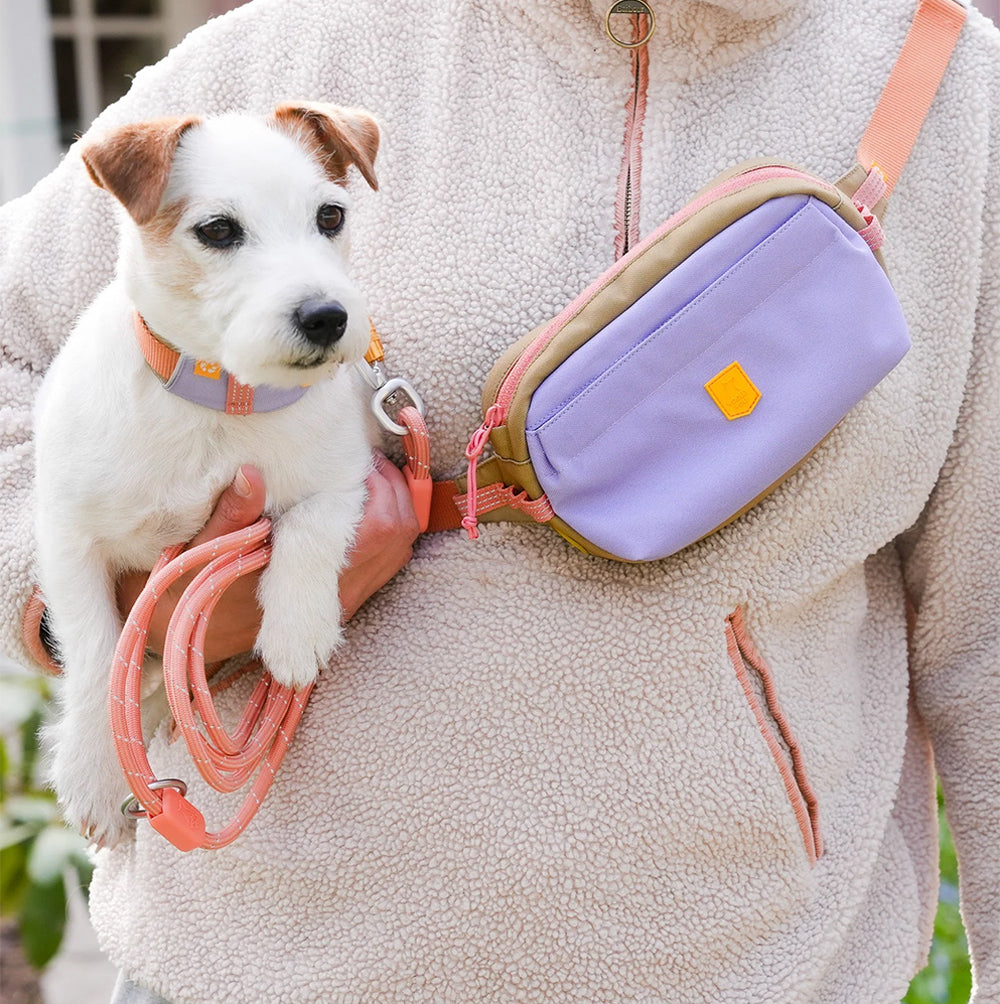 Person mit der Alpha 360 Hip Pack in Lavendel Mix beim Spaziergang mit Hund – stilvoll und funktional unterwegs.
