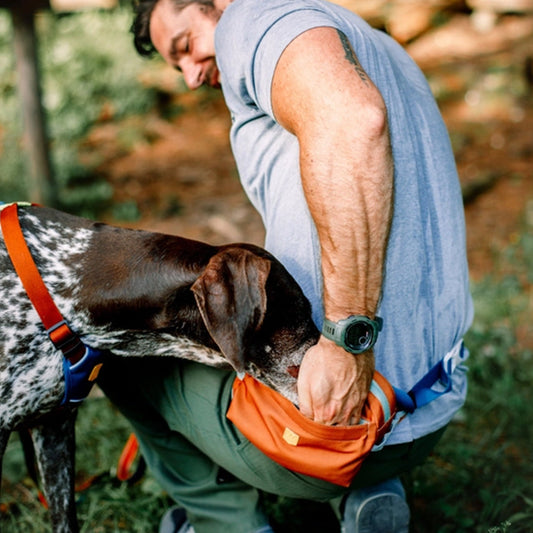 Mensch mit Alpha 360 Hip Pack in Terrakotta und Hund beim Spaziergang – praktische Gassitasche für unterwegs