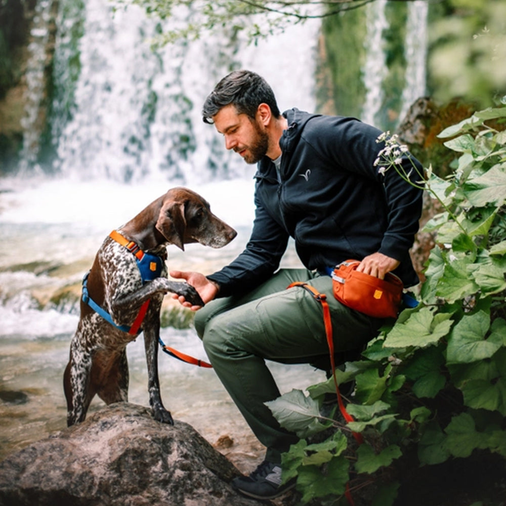 Hund gibt Pfote und Mensch mit Alpha 360 Hüfttasche in Terrakotta sucht nach Leckerlis bei einer Pause in der Natur.