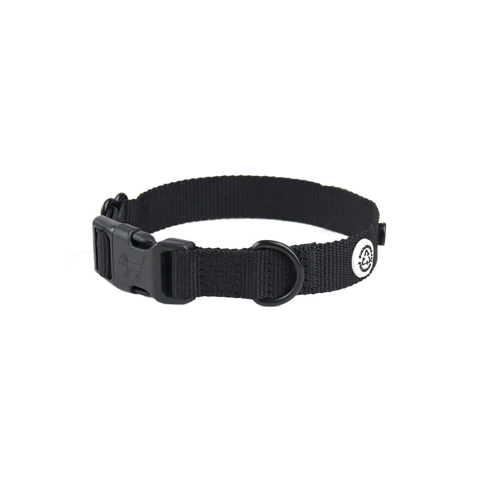 Das nachhaltige Hundehalsband Kodie von Barkalot in der Farbe: Schwarz und auf weißem Hintergrund.