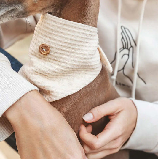 Hund und Mensch zeigen im Detail den Knopf aus Holz zum befestigen der Spitze.