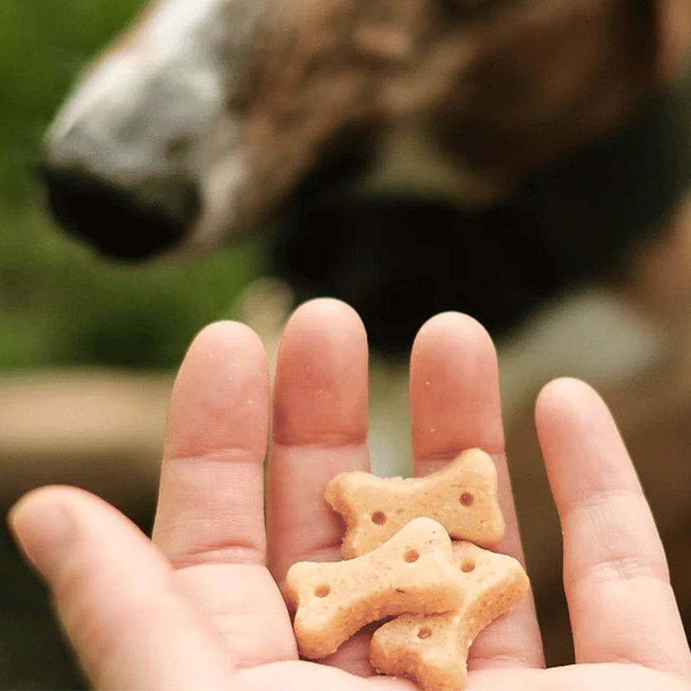 Mensch hält einige Hundekekse in der Hand.