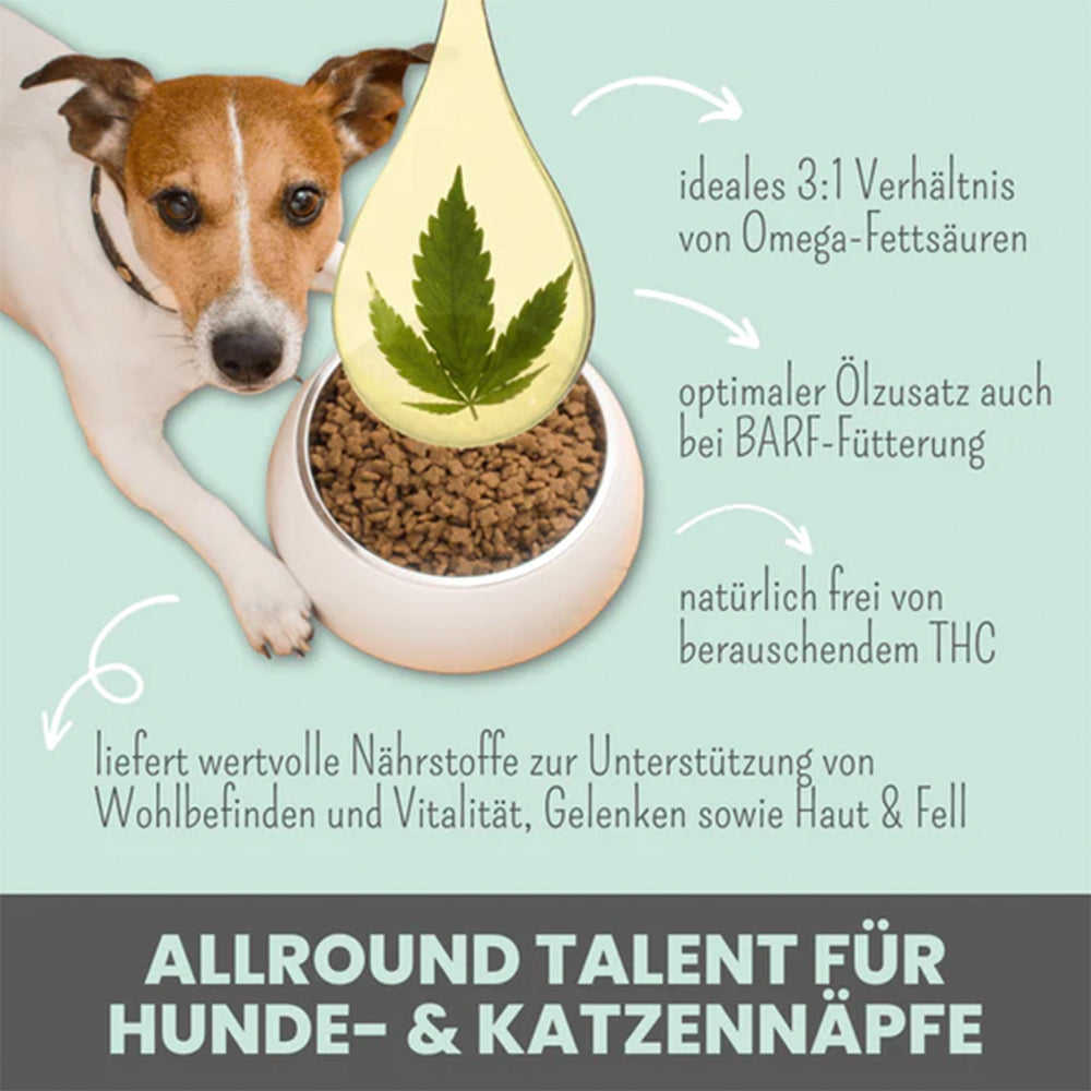 Inhaltsstoffe des Premium Hanföls mit hohem Anteil an Omega-3 und Omega-6 Fettsäuren