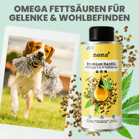Anwendungsbereiche des Premium Hanföls – unterstützt Gelenke, Immunsystem und Haut & Fell bei Hunden
