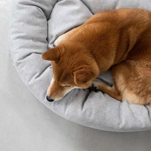 Hund liegt gemütlich im Hundebett Donut von Denjo Dogs.