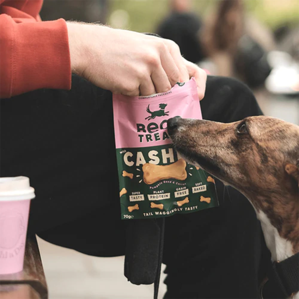 Hund bekommt ein Leckerli während einer Kaffeepause.