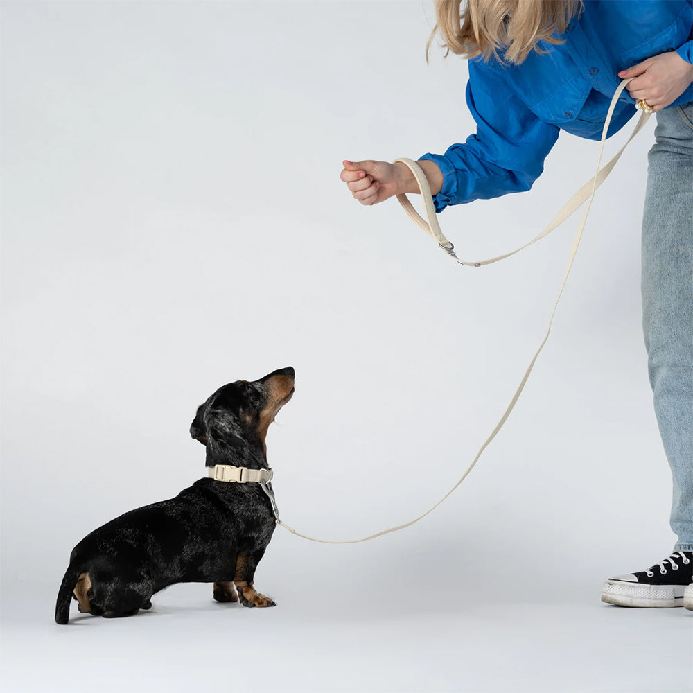 Hund an der Kodie-Leine in der Farbe Sand von Barkalot