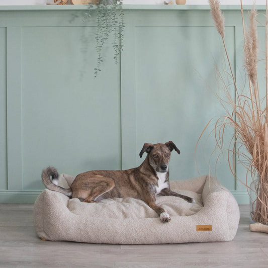 Hund liegt gemütlich auf dem LeFluff Hundebett mit Rand in Beige in wohnlicher Umgebung