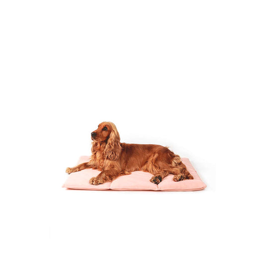 Die Hundematte "Nomad Bed" in der Farbe: Light Pink auf weißem Hintergrund und mit Hund drauf.