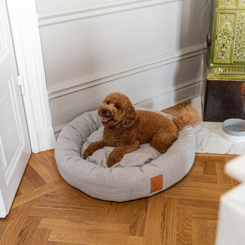 Das Hundebett Donut in einer modernen Wohneinrichtung und einem Hund.