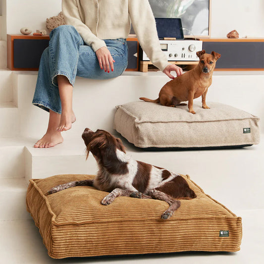 Hunde liegen auf dem Hundebett Cuadra von Cafide - stilvoll und nachhaltig.