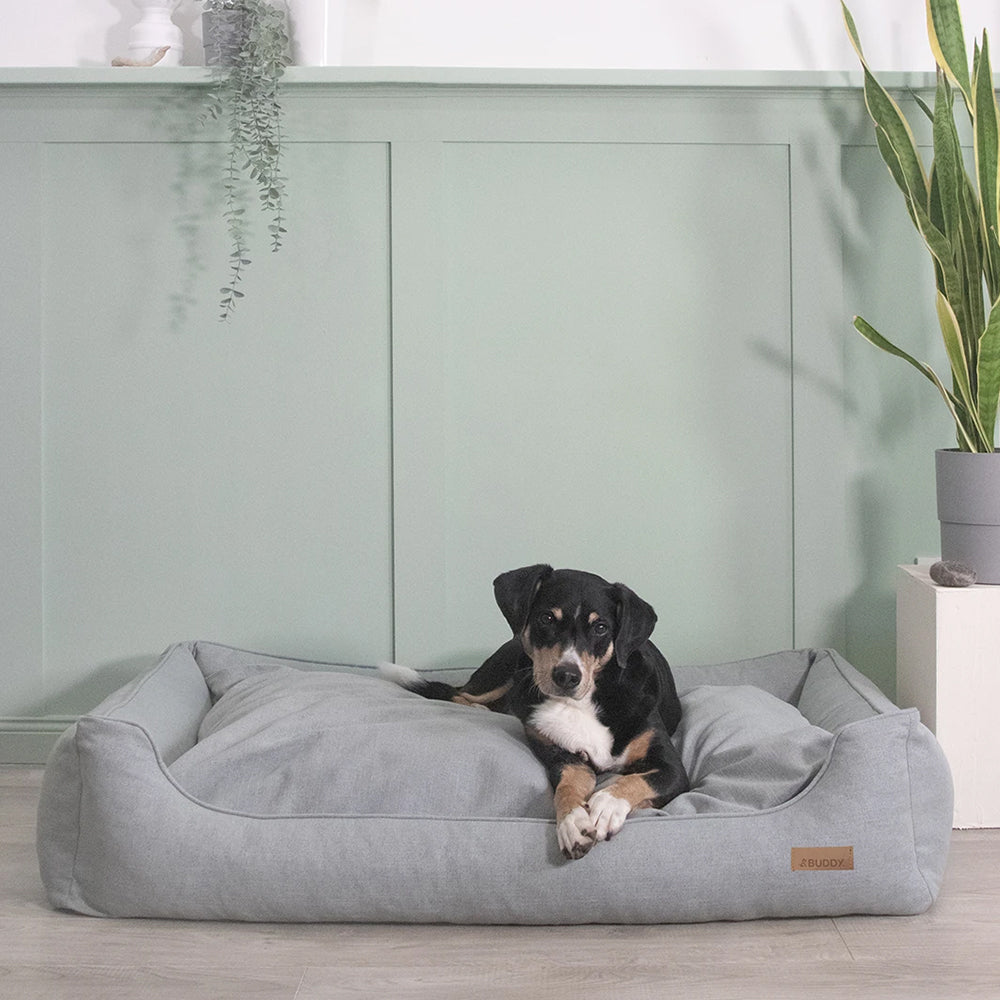 Zusammengerollter Hund schläft im graublauen Hundebett mit Rand