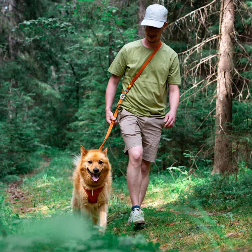 Hundeleine Roam in Terracotta Ripple im Einsatz – Hund läuft an der Leine auf einem Spaziergang