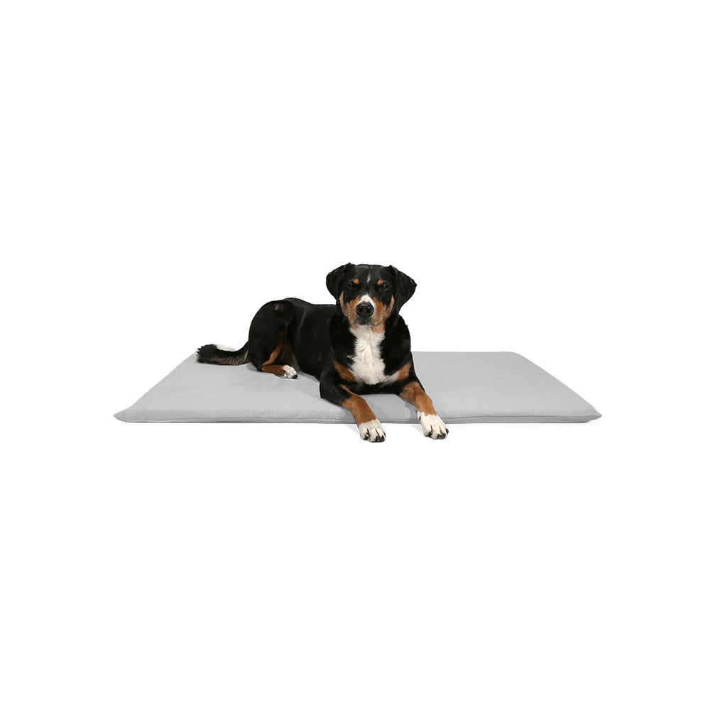 Hund liegt auf der Hundematte Matt in der Farbe: Stone von BUDDY.