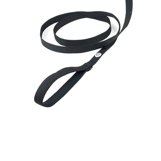 Gepolsterte Handschlaufe der Kodie Hundeleine auf weißem Hintergrund