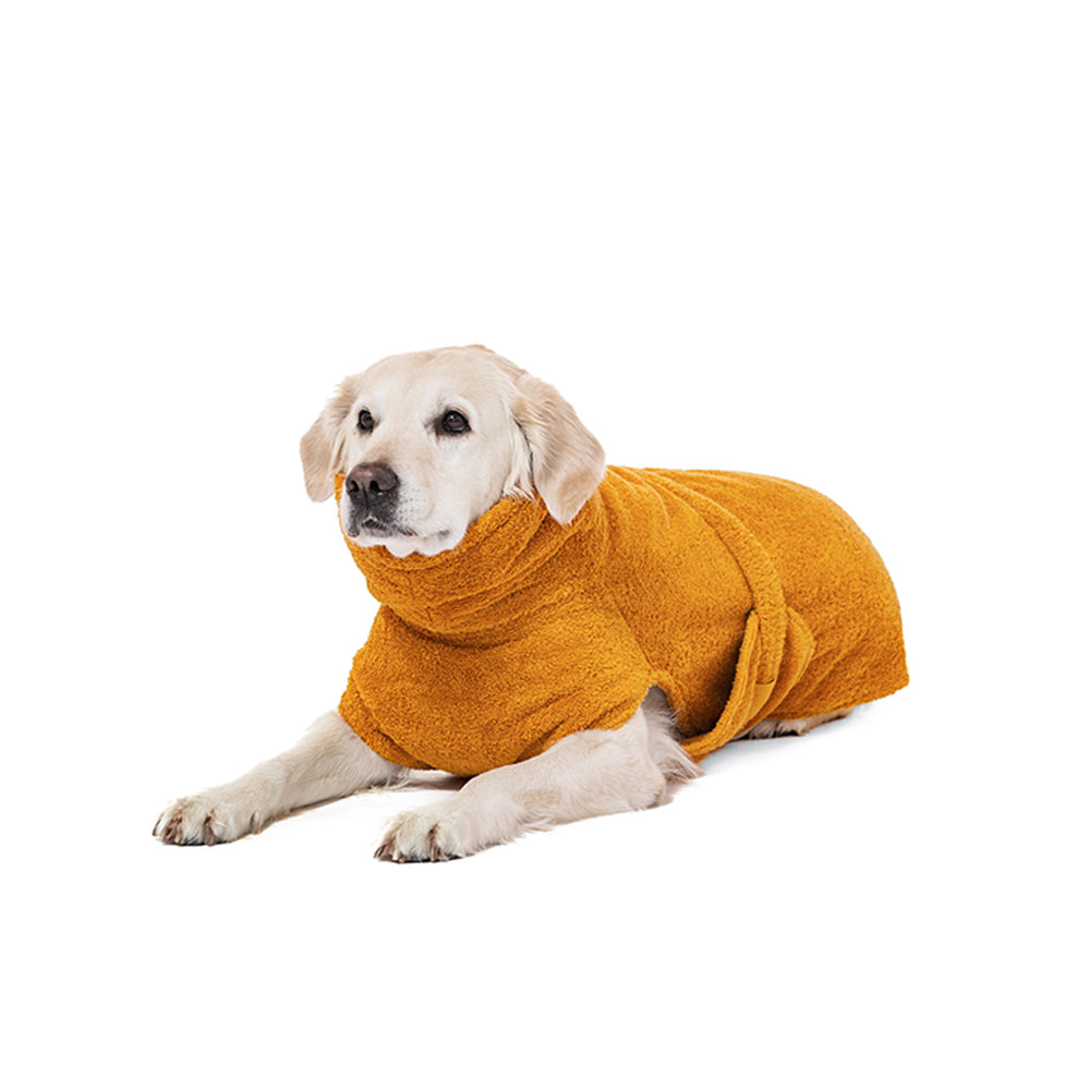 Hund liegt mit angezogenem Bademantel Amber von Lill’s vor weißem Hintergrund und sieht hoch.