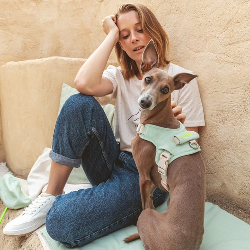 Mensch und Hund während einer Pause. Hund trägt das Hundegeschirr Hug Harness in der Farbe: Mint