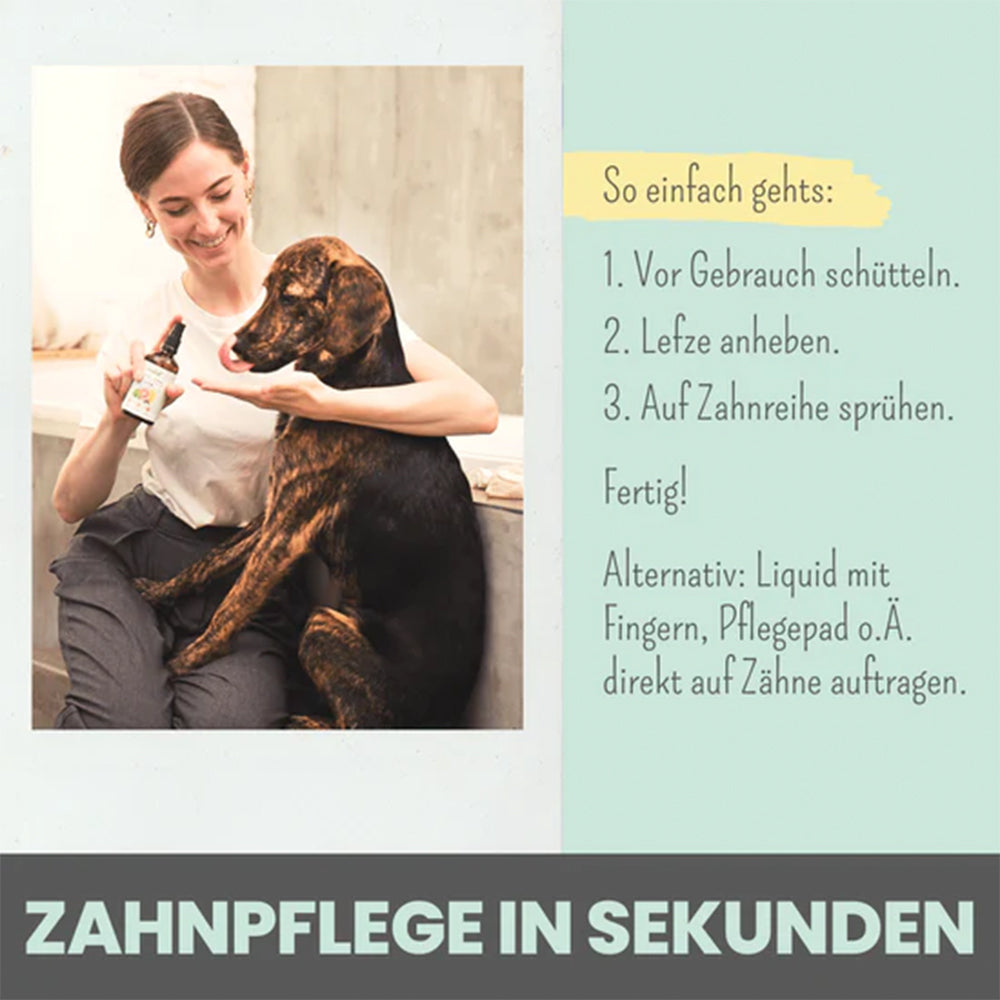 Anwendung des Zahnpflege-Sprays bei Hund und Katze mit einem Menschen und Hund abgebildet. Mensch sprüht das Dentalspray auf die Hand, damit Hund es ablecken kann.