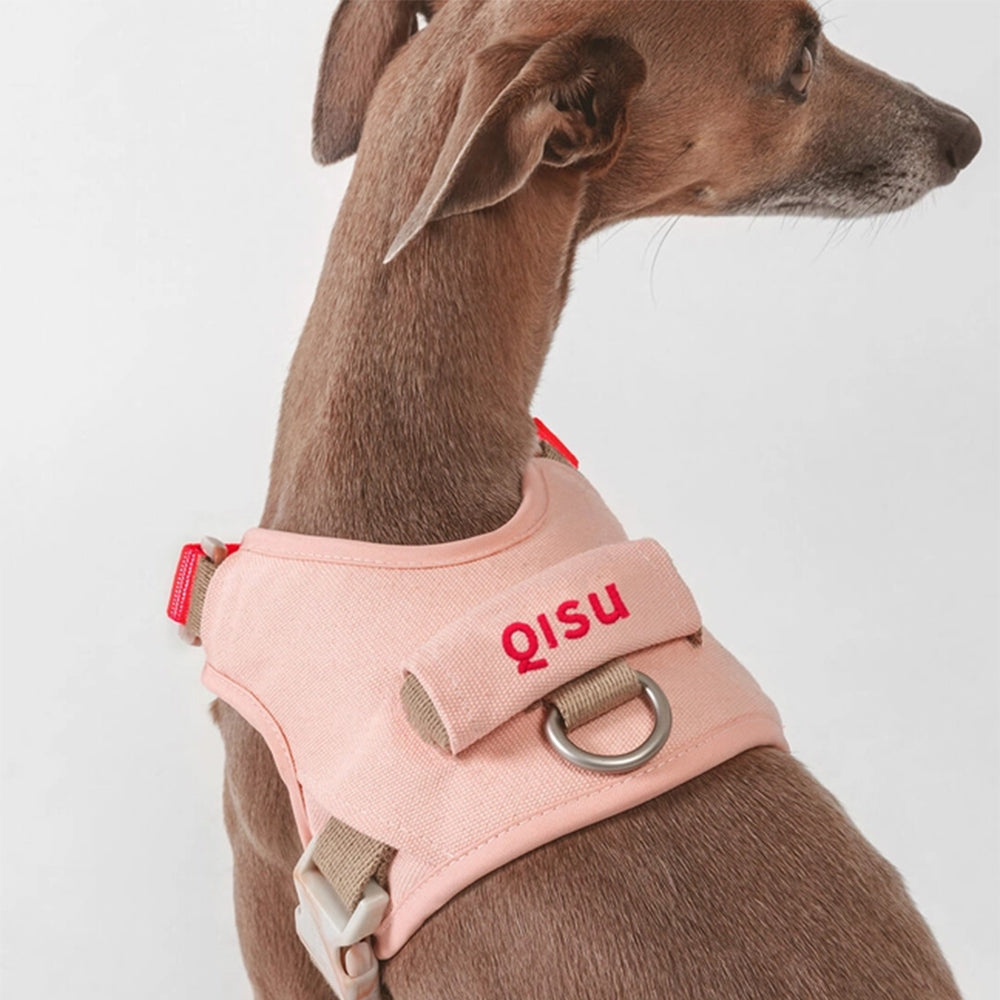 Sicht von oben auf das Hundegeschirr mit Griff am Rücken und einem D-Ring zum Befestigen der Leine.