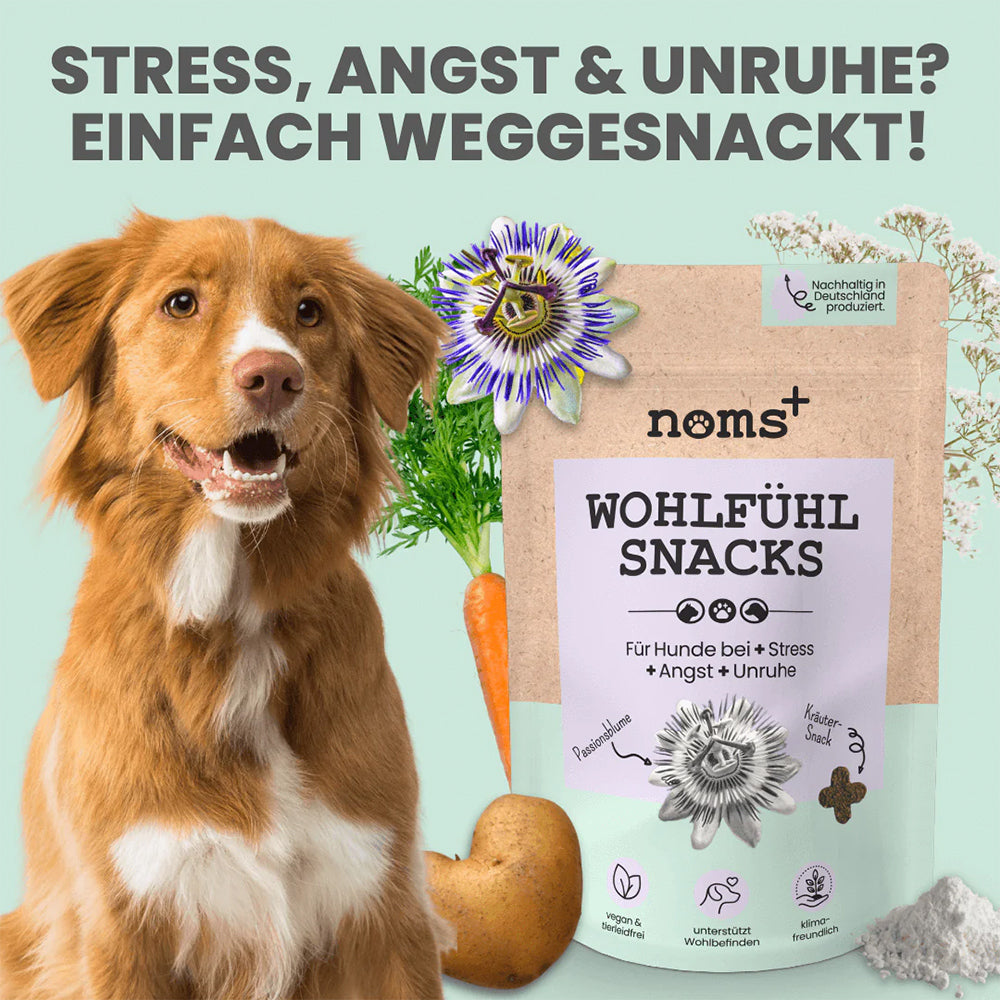 Hundesnack von Noms+ als Unterstützung bei Angst, Unruhe und Stress.