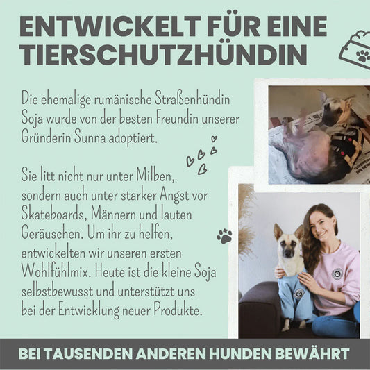 Die Entwicklungsgeschichte der Noms+ Wohlfühlsnacks für Hunde mit Stressanfälligkeit