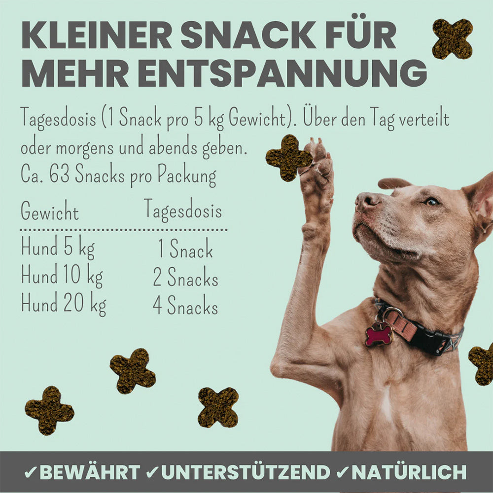 Fütterungsempfehlung für Noms+ Wohlfühlsnacks nach Hundegewicht