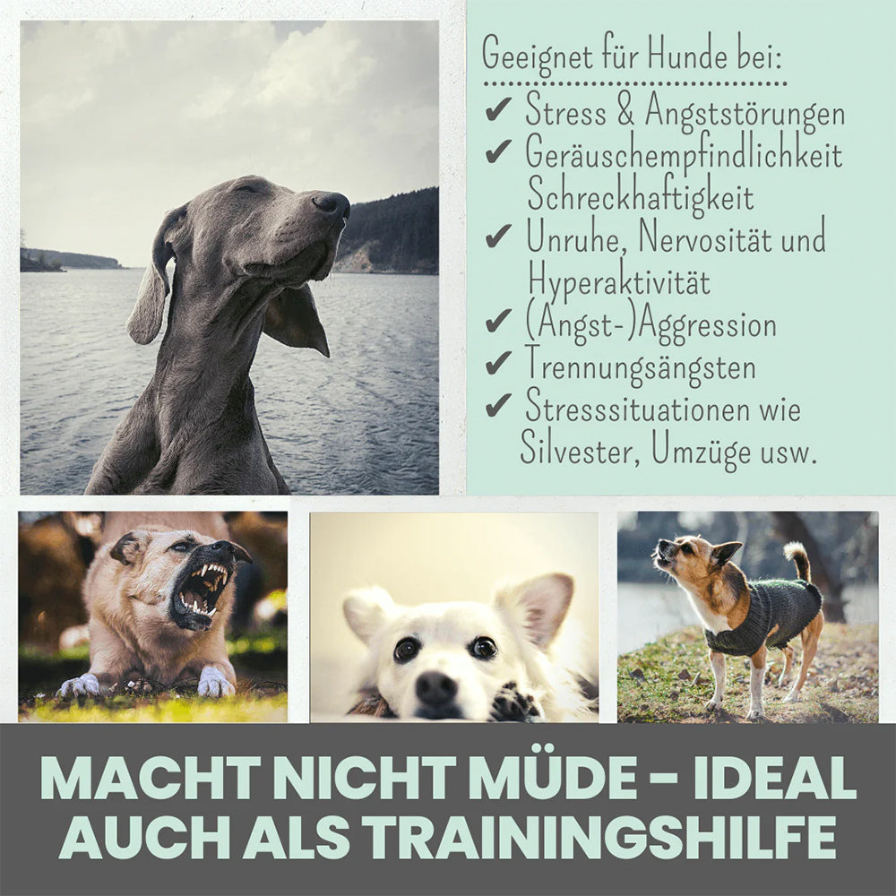 Noms+ Wohlfühlsnack mit beruhigender Wirkung – vegan und ohne Müdigkeit