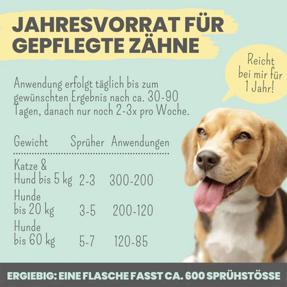 Schritt-für-Schritt Anwendung des Zahnpflege-Sprays bei Hunden und Katzen
