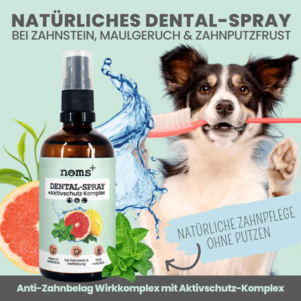 Anwendungsgebiete des Zahnpflege-Sprays für Hunde und Katzen