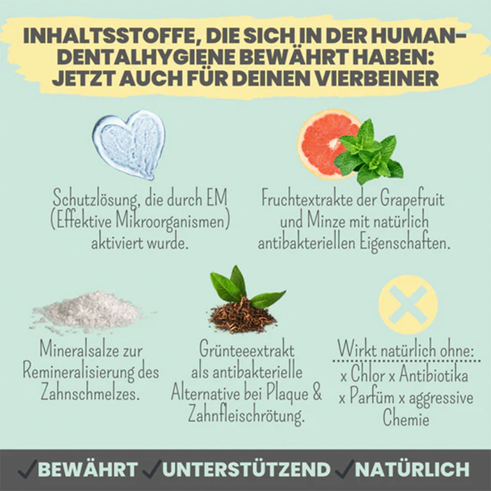 Inhaltsstoffe des Zahnpflege-Sprays von Noms+