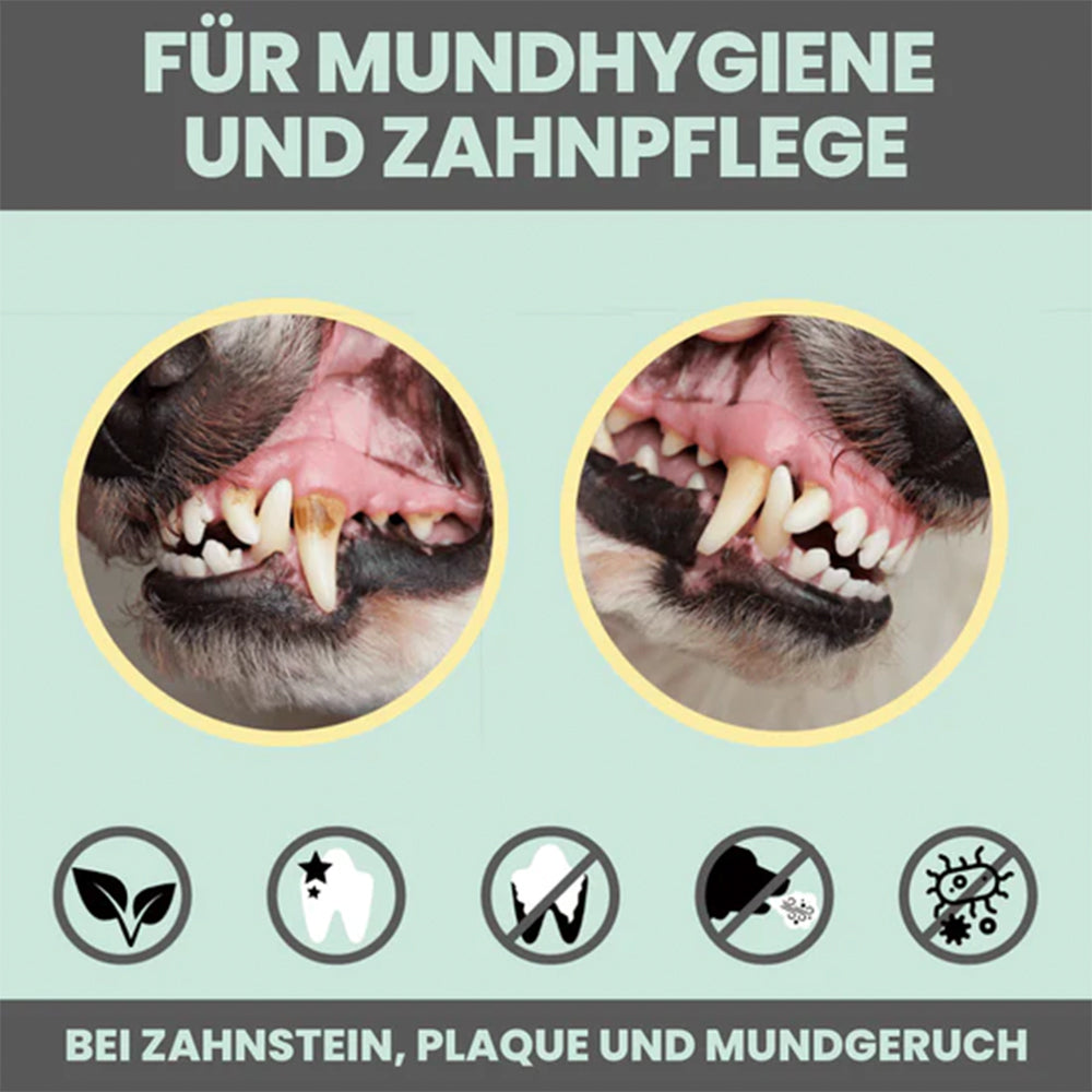 Vorher-Nachher Vergleich bei Zahnpflege mit Noms+ Spray, Bild 1