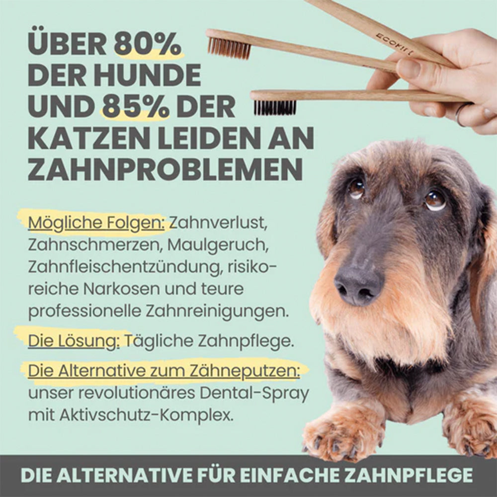 Warum Zahnpflege bei Hunden und Katzen wichtig ist
