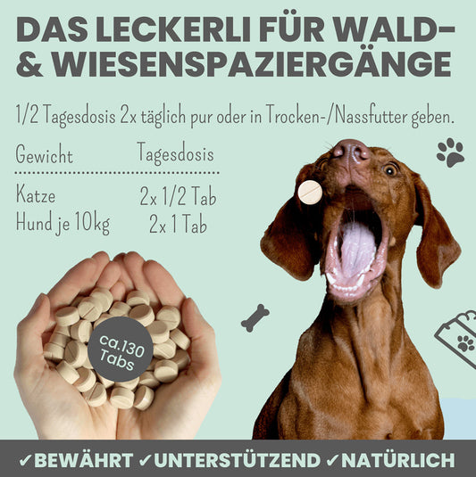 Fütterungsempfehlung für Noms+ Zistrosen Tabs für Hunde und Katzen