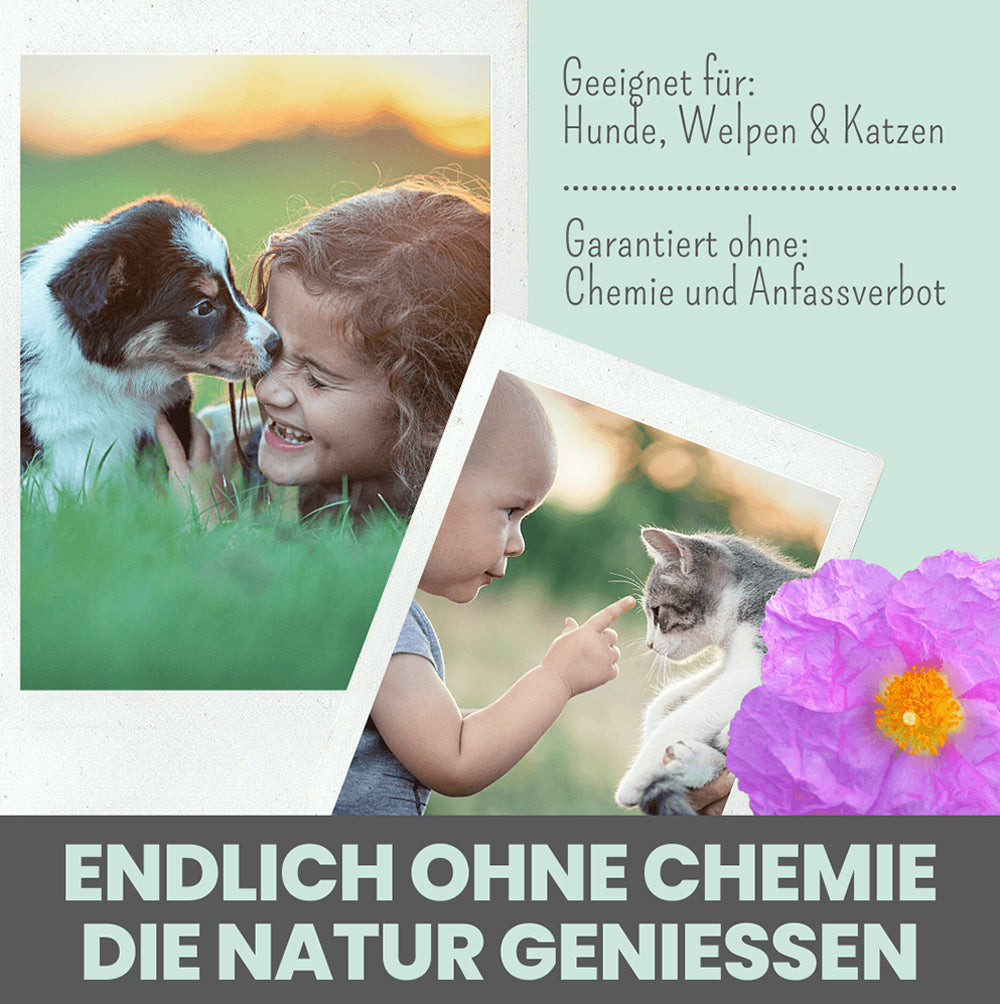 Zistrosen Tabs geeignet für Hunde und Katzen jeden Alters