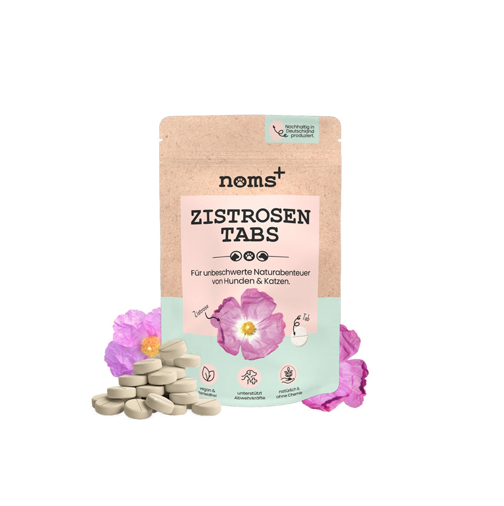 Noms+ Zistrosen Tabs Produktbild auf weißem Hintergrund