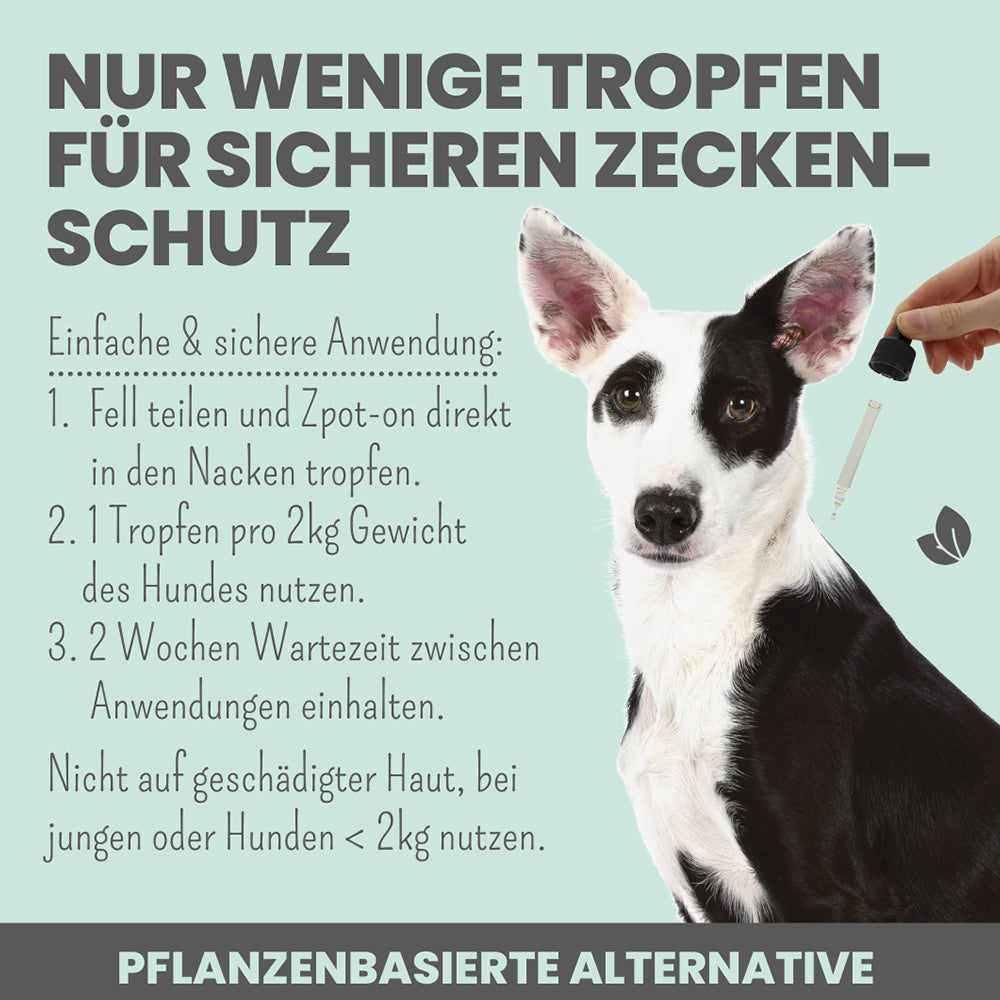 Anwendung des Zpot-On bei Hunden – Tropfenverteilung auf der Nackenhaut