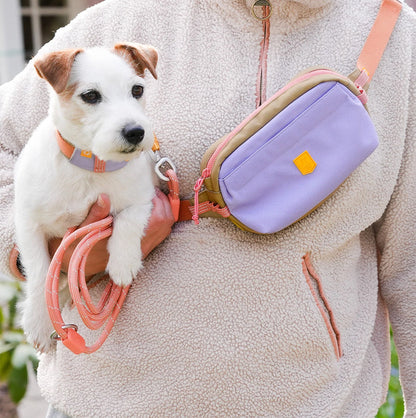Person mit der Alpha 360 Hip Pack in Lavendel Mix beim Spaziergang mit Hund – stilvoll und funktional unterwegs.