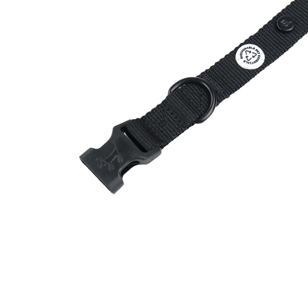 Der D-Ring zum befestigen der Hundeleine am Halsband Kodie in Schwarz