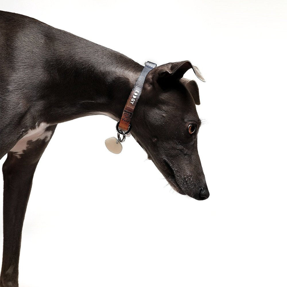 Hund trägt das EDDGY™ Halsband Bruce – perfekte Passform am Hals