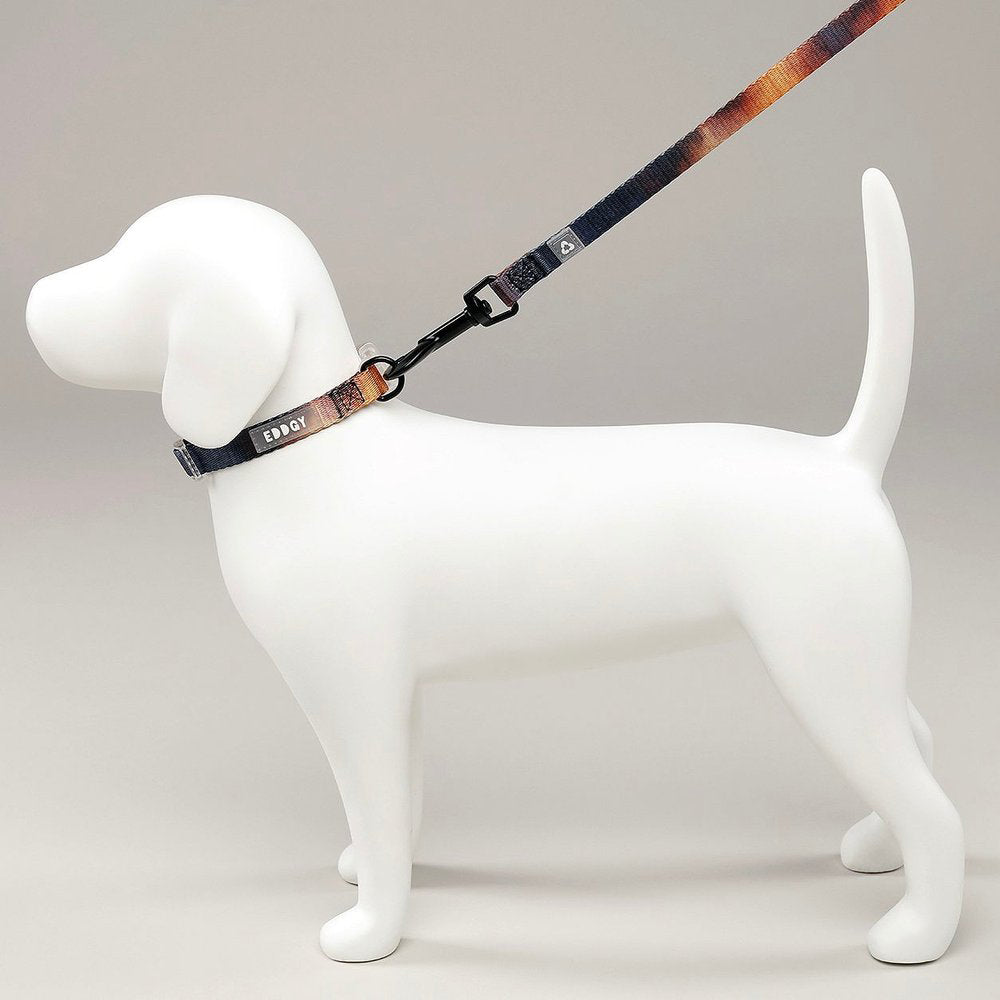 EDDGY™ Hundehalsband Bruce an Hundemodell-Schaufensterpuppe präsentiert