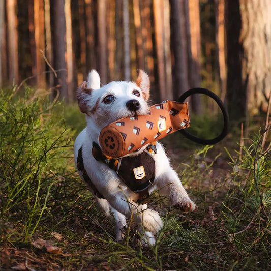 Nachhaltiges Hundespielzeug Floaty Fetch Toy in Sea to Summit aus recyceltem PET – ideal zum Apportieren im Wasser oder am Land.