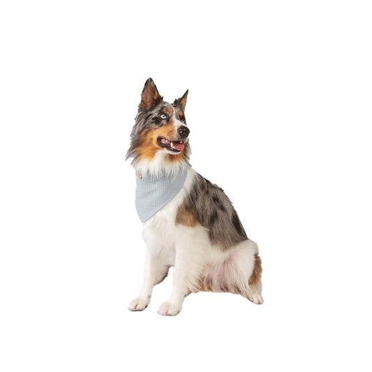 Hund mit Halstuch Waffle in der Farbe: Himmelblau von Qisu aus Bio-Baumwolle.