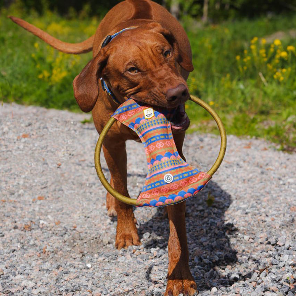 Hund hält die Squeaky Frisbee in Nightless Night von Woolly Wolf im Maul – nachhaltiges Apportierspielzeug aus recyceltem PET, ideal für aktive Hunde.