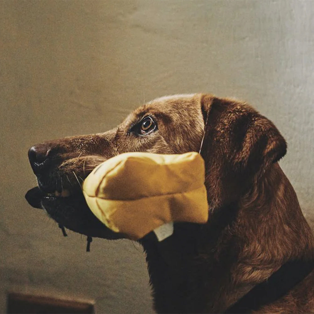 Seitenansicht des Hundespielzeugs George the Giraffe von Beco im Maul eines Hundes.