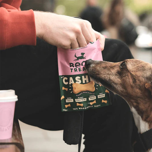 Hund bekommt ein Leckerli während einer Kaffeepause.