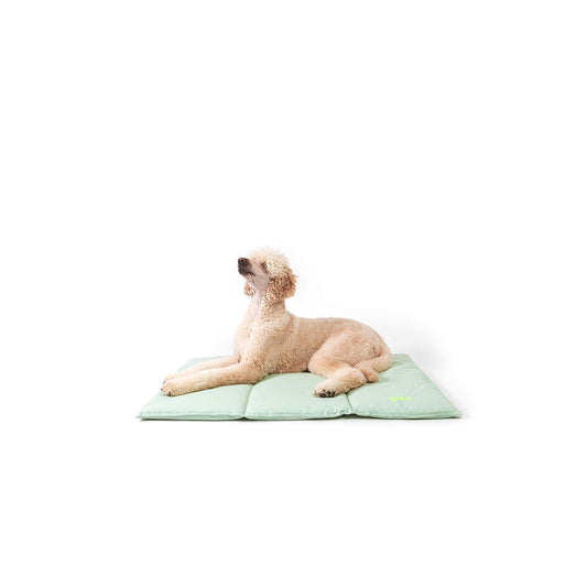 Hund liegt auf der Hundematte aus recyceltem PET und Bio-Baumwolle von Qisu.