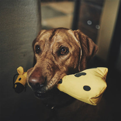 Hund mit George the Giraffe im Maul.