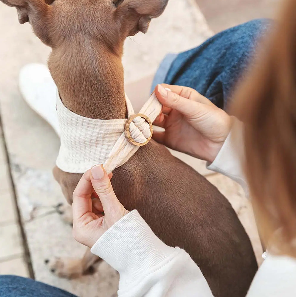Mensch zieht das Halstuch am Holzring zum Befestigen fest.