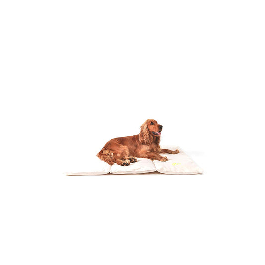 Hund liegt auf der Hundematte Nomad Bed in der Farbe: Natural von Qisu - nachhaltig und stillvoll.